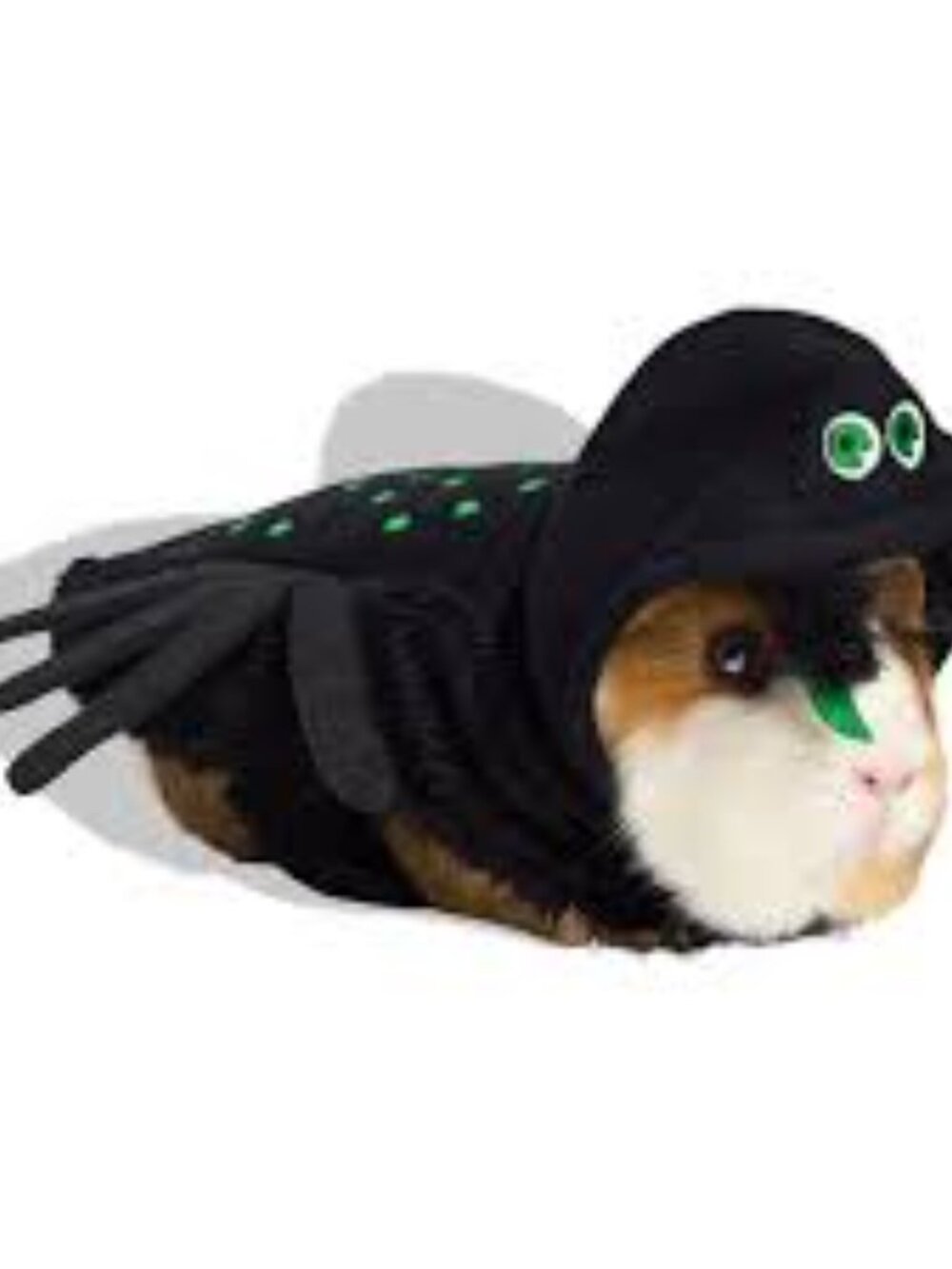 New Bootique Spider Small Animal Costume Pets Guinea Pigs Halloween